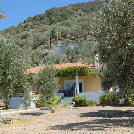Melinda Holiday House Plomari Екстер'єр фото